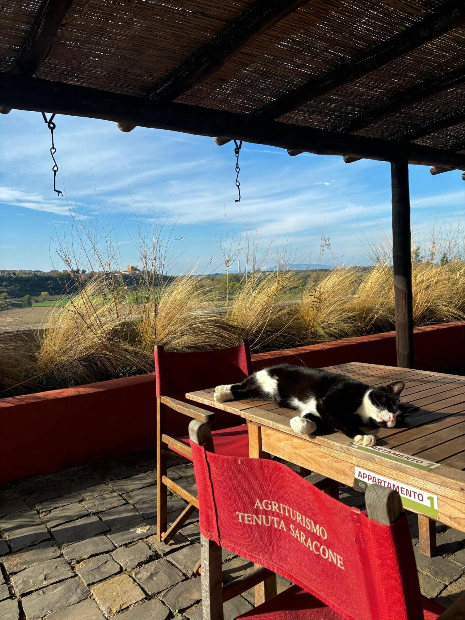 Tenuta Saracone Montalto di Castro Buitenkant foto