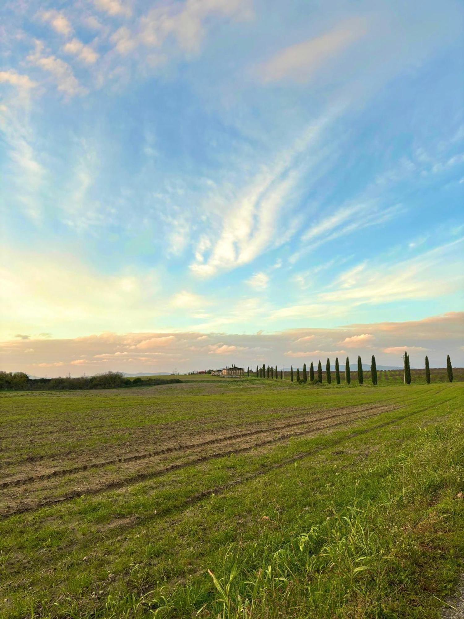 Tenuta Saracone Montalto di Castro Buitenkant foto
