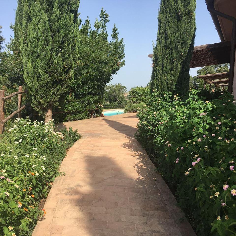 Tenuta Saracone Montalto di Castro Buitenkant foto
